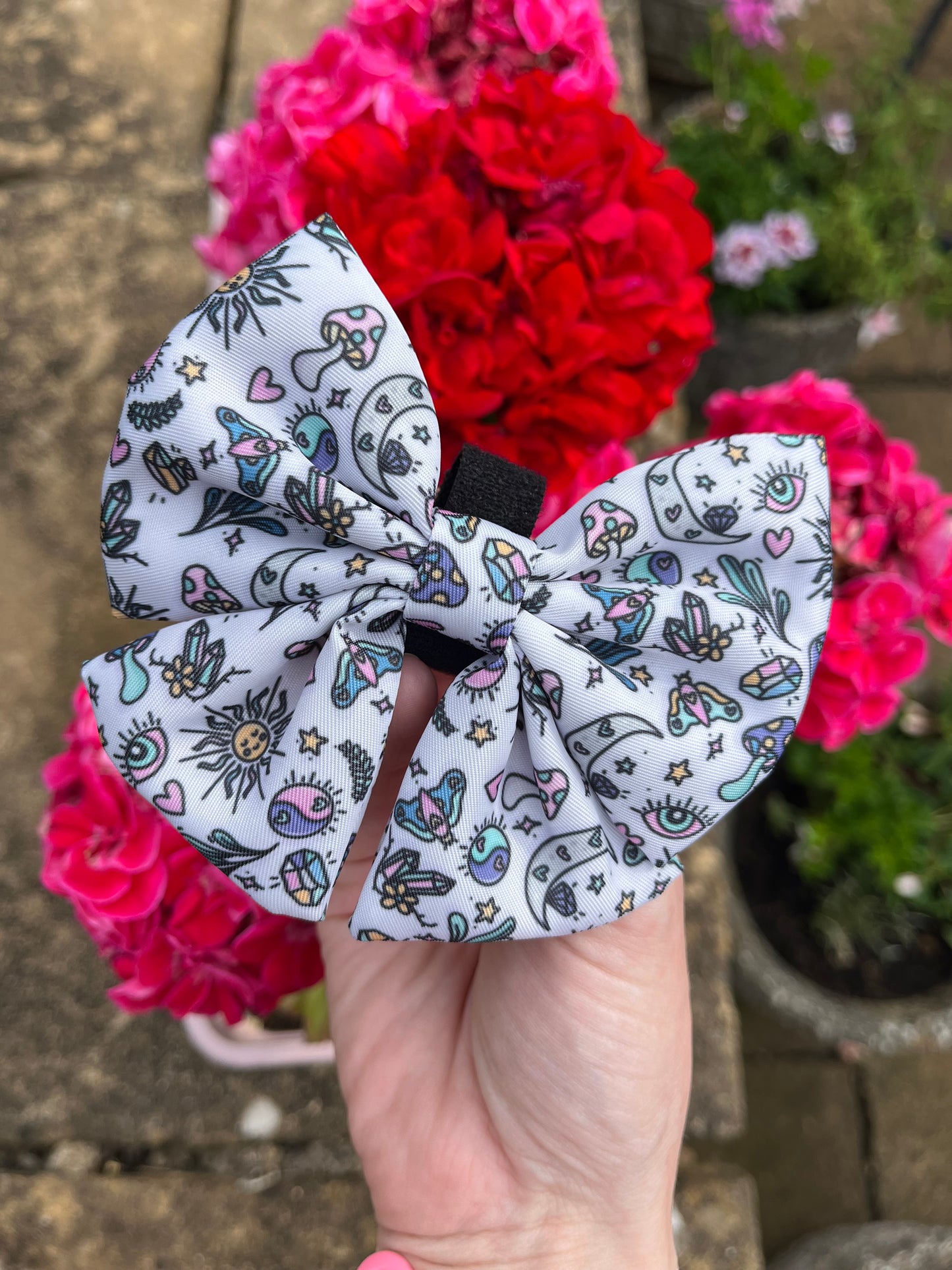 Pawcerers Apprentice- Sailor Bow