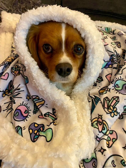 Sherpa Blanket- Pawcerers Apprentice