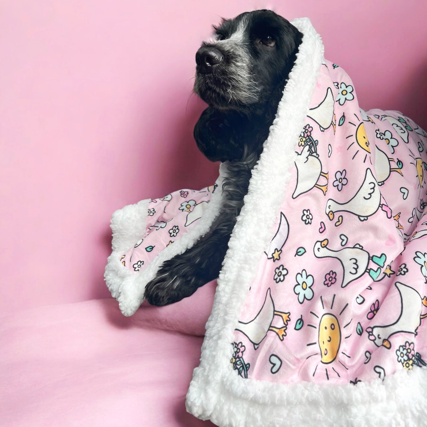 Sherpa Blanket- You Give Me Goosebumps