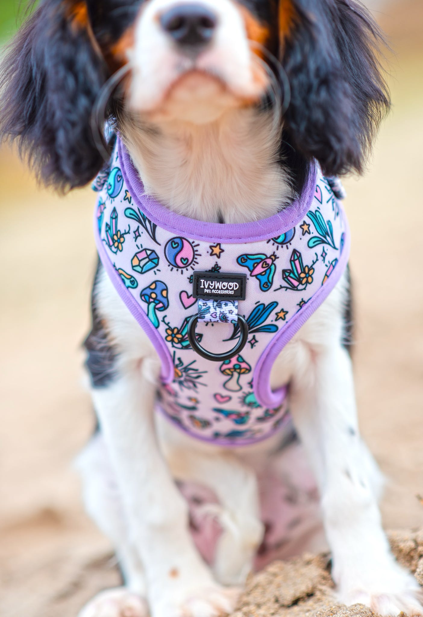 Pawcerers Apprentice- Adjustable Harness