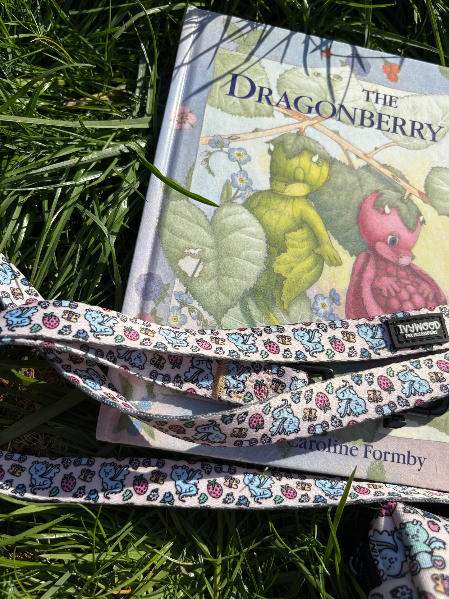 Fabric Lead- Dragonberry Dream