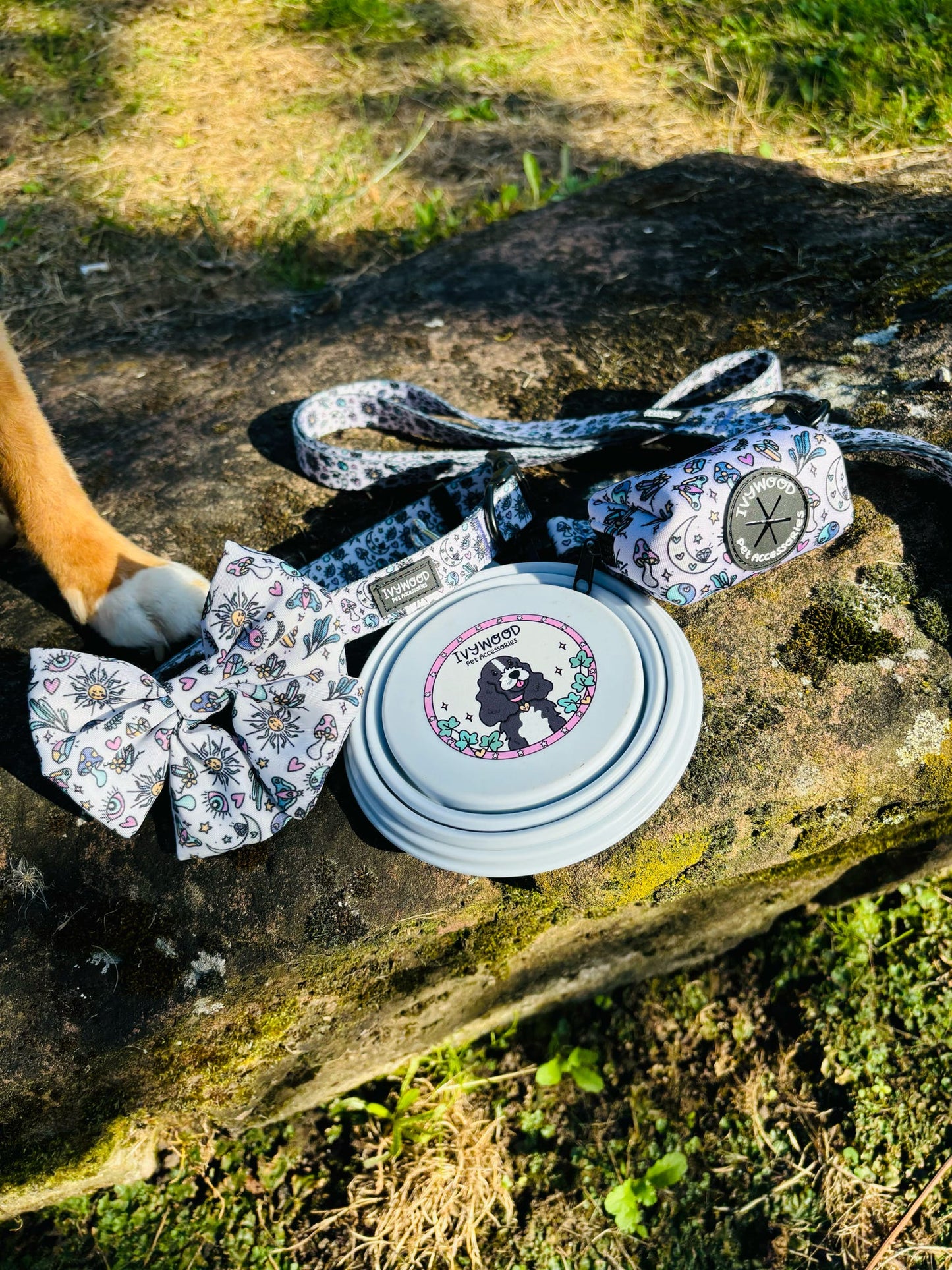 Pawcerers Apprentice- Sailor Bow