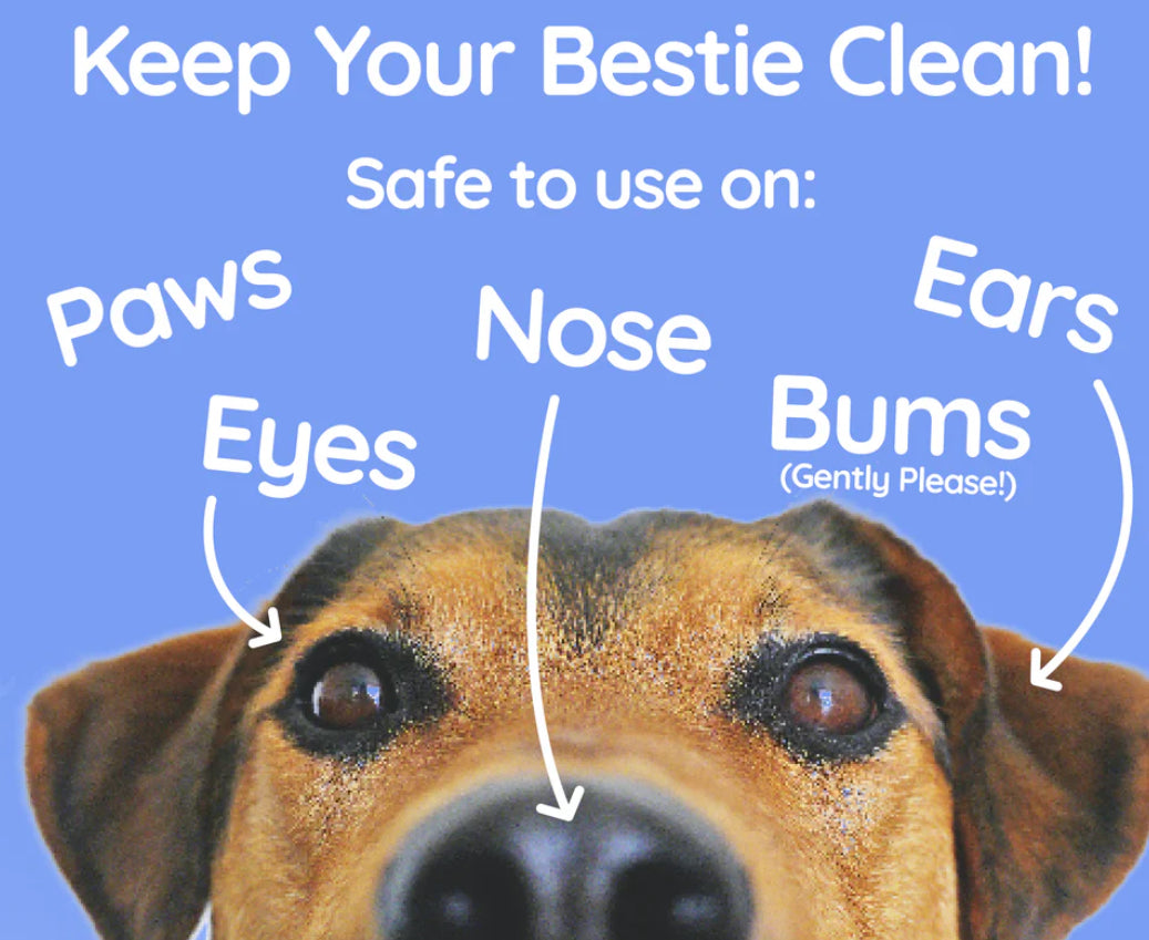Adios Plastic Compostable Pet Wipes