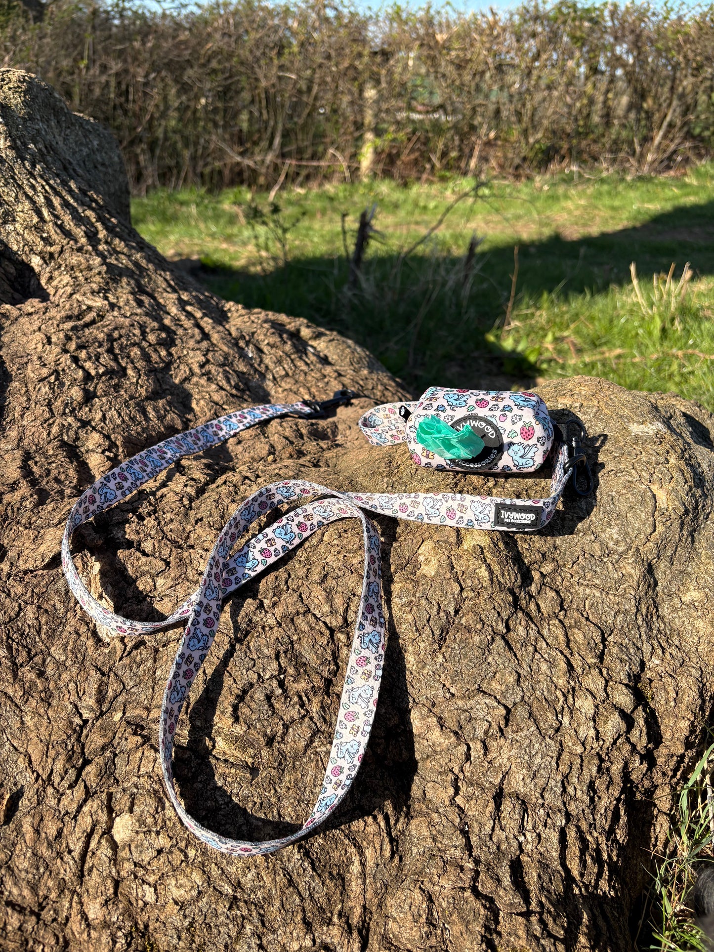 Fabric Lead- Dragonberry Dream