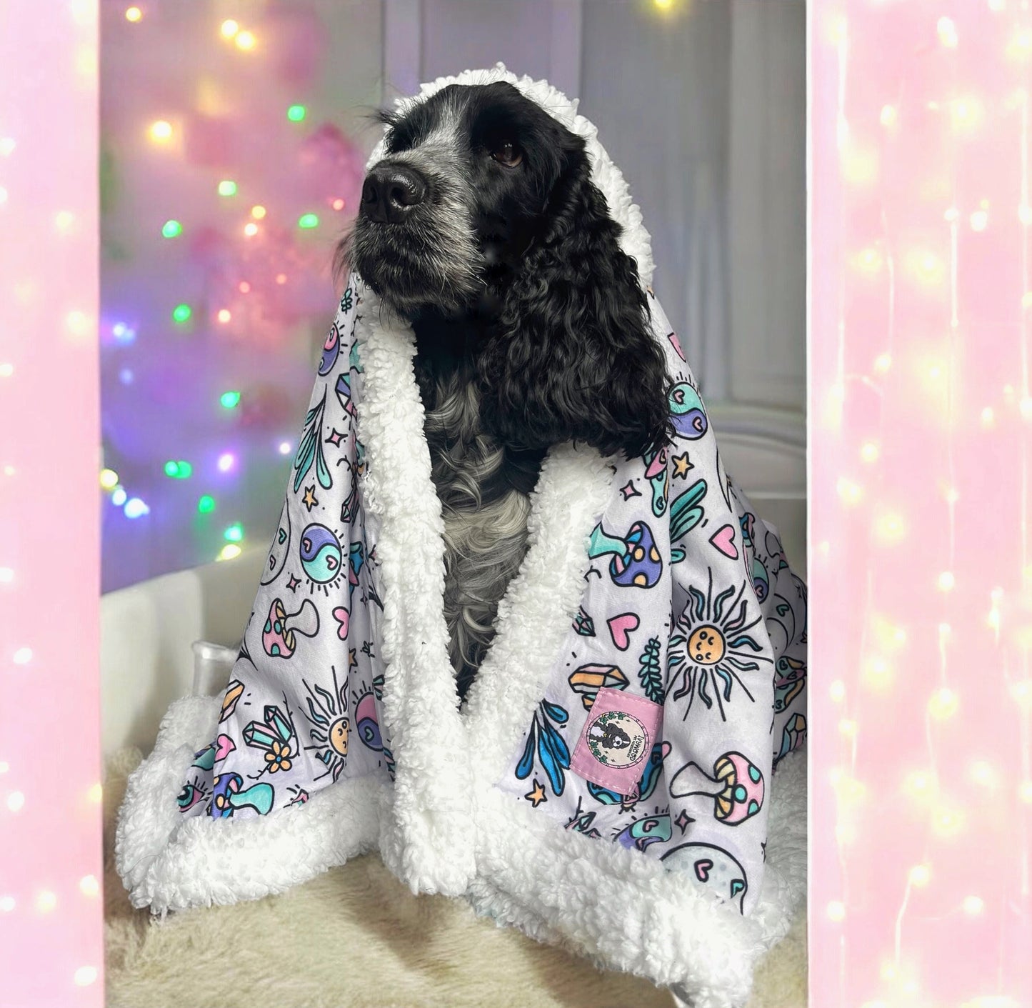 Sherpa Blanket- Pawcerers Apprentice
