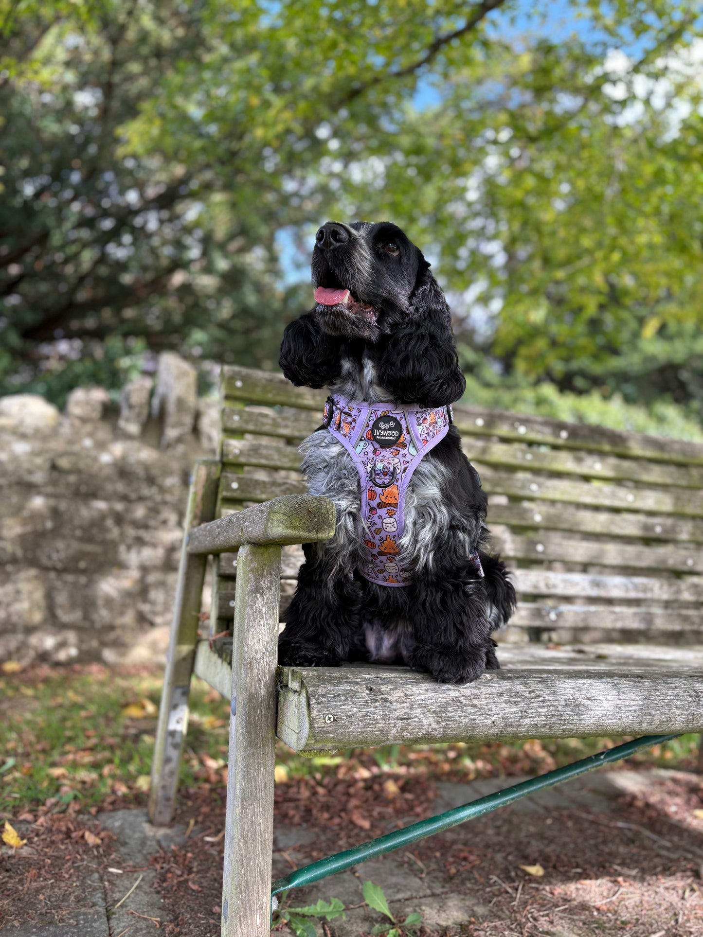 IvyTrek Harness- Fireside Harvest