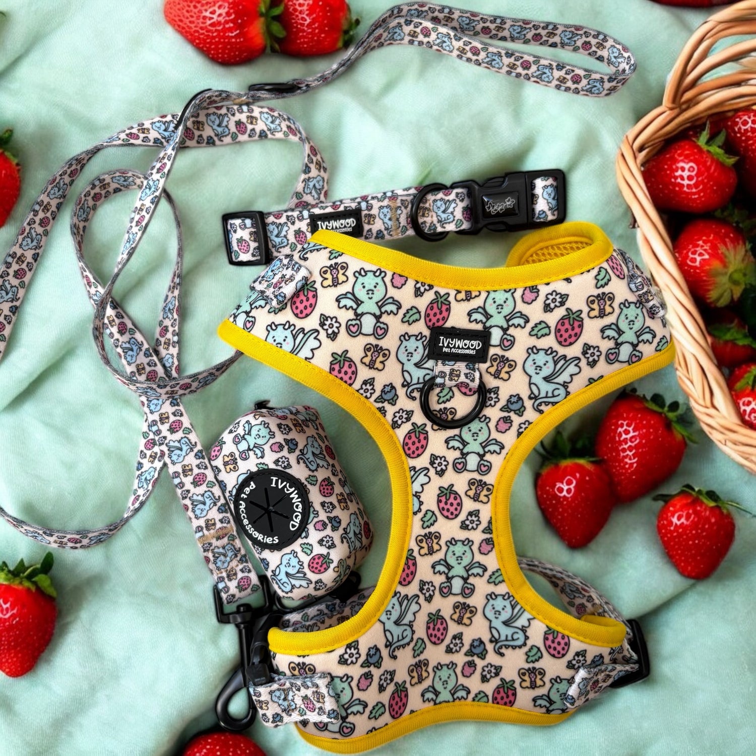 Dragonberry Dream Collection