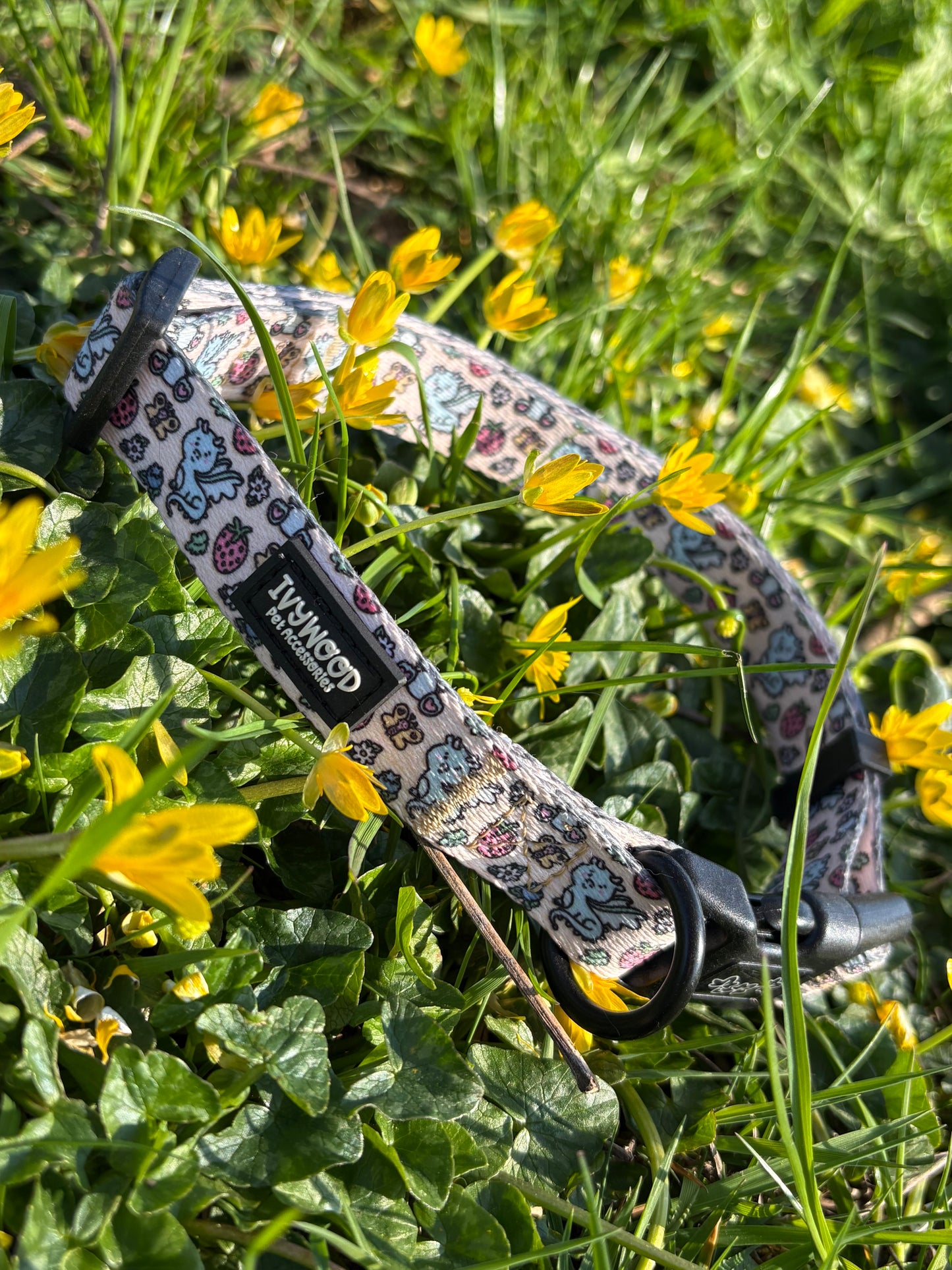 Collar- Dragonberry Dream