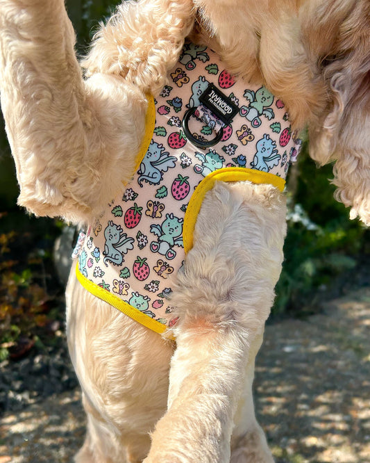 Adjustable Harness- Dragonberry Dream