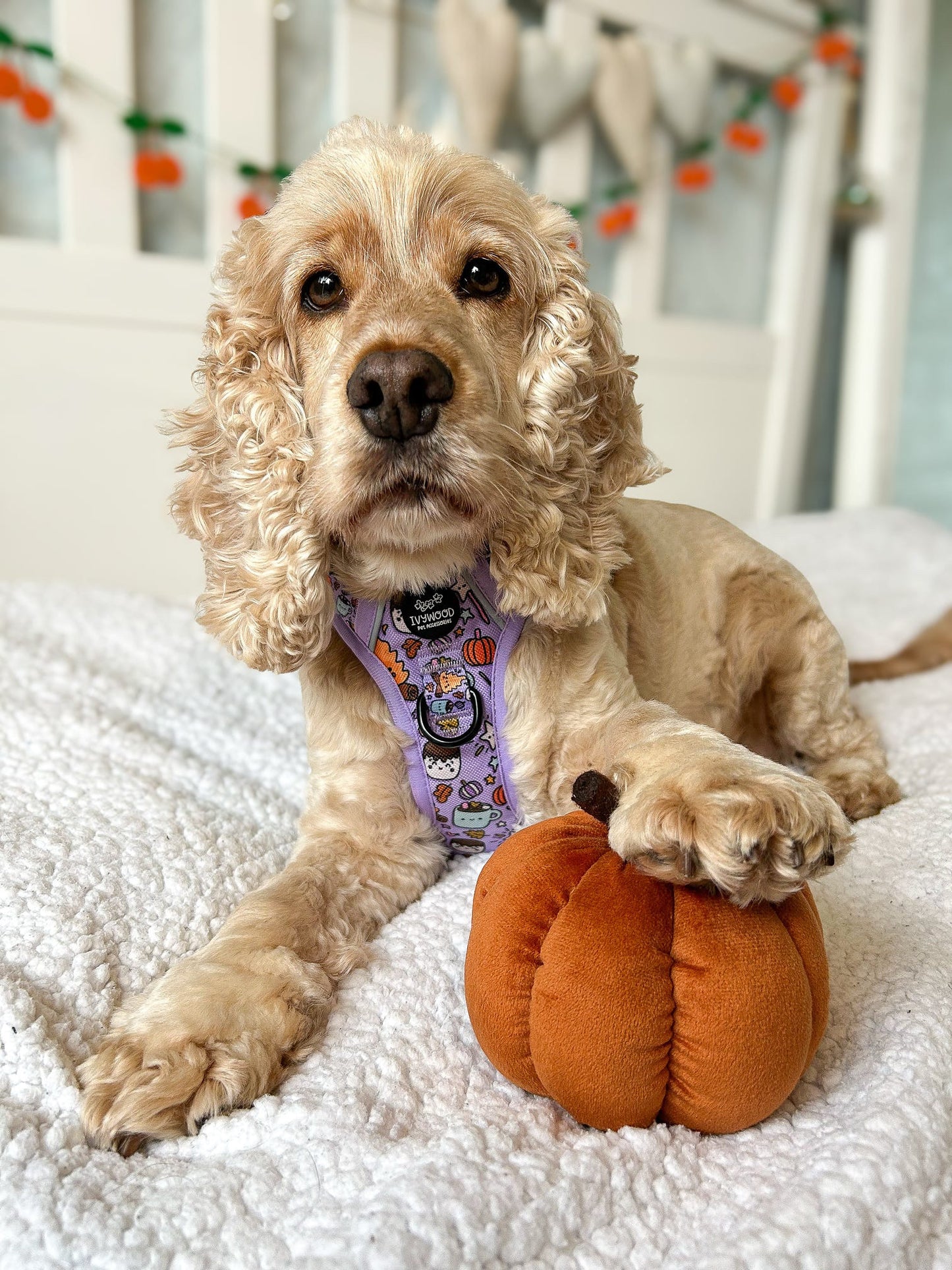 IvyTrek Harness- Fireside Harvest