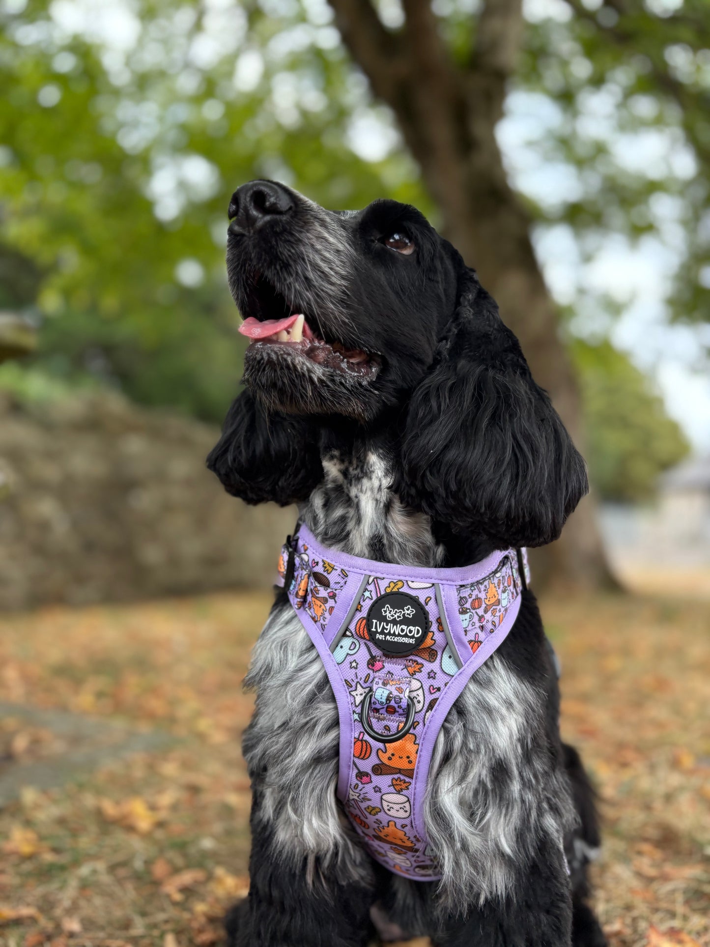 IvyTrek Harness- Fireside Harvest