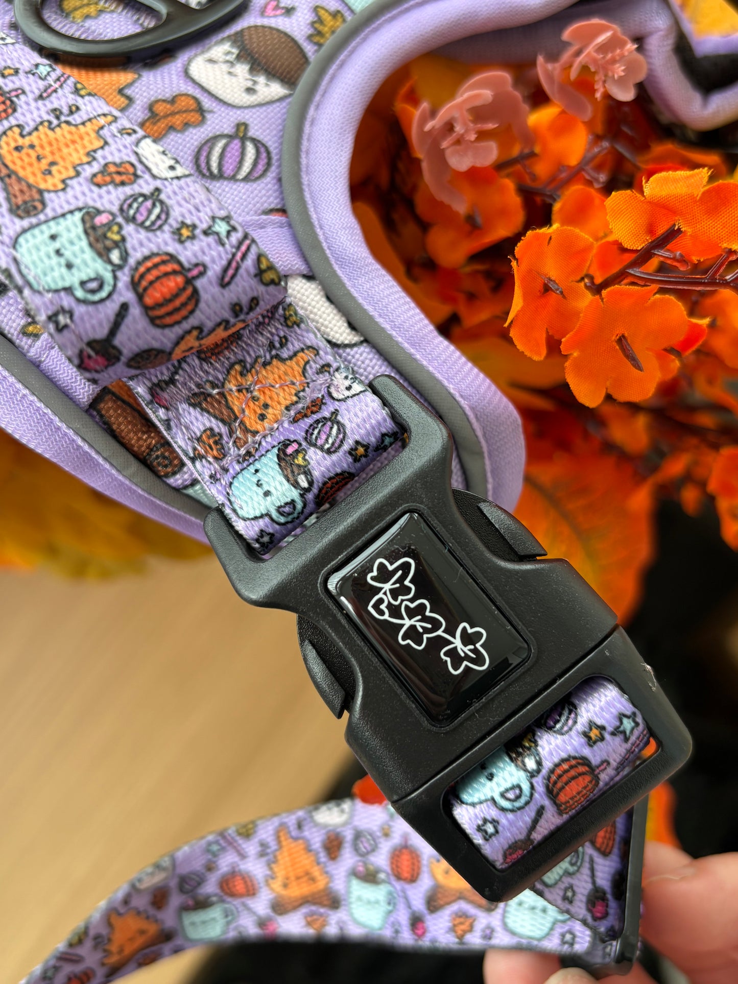 IvyTrek Harness- Fireside Harvest